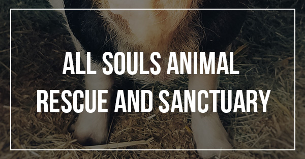 All Souls Animal Rescue And Sanctuary - Home
